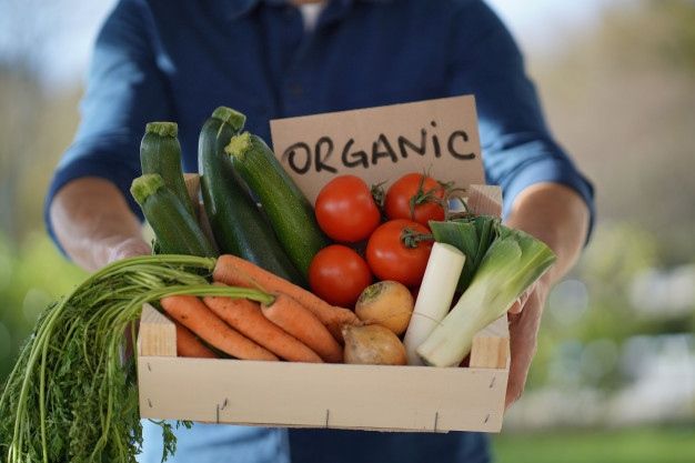 Organic Farming & Vegetable Supply