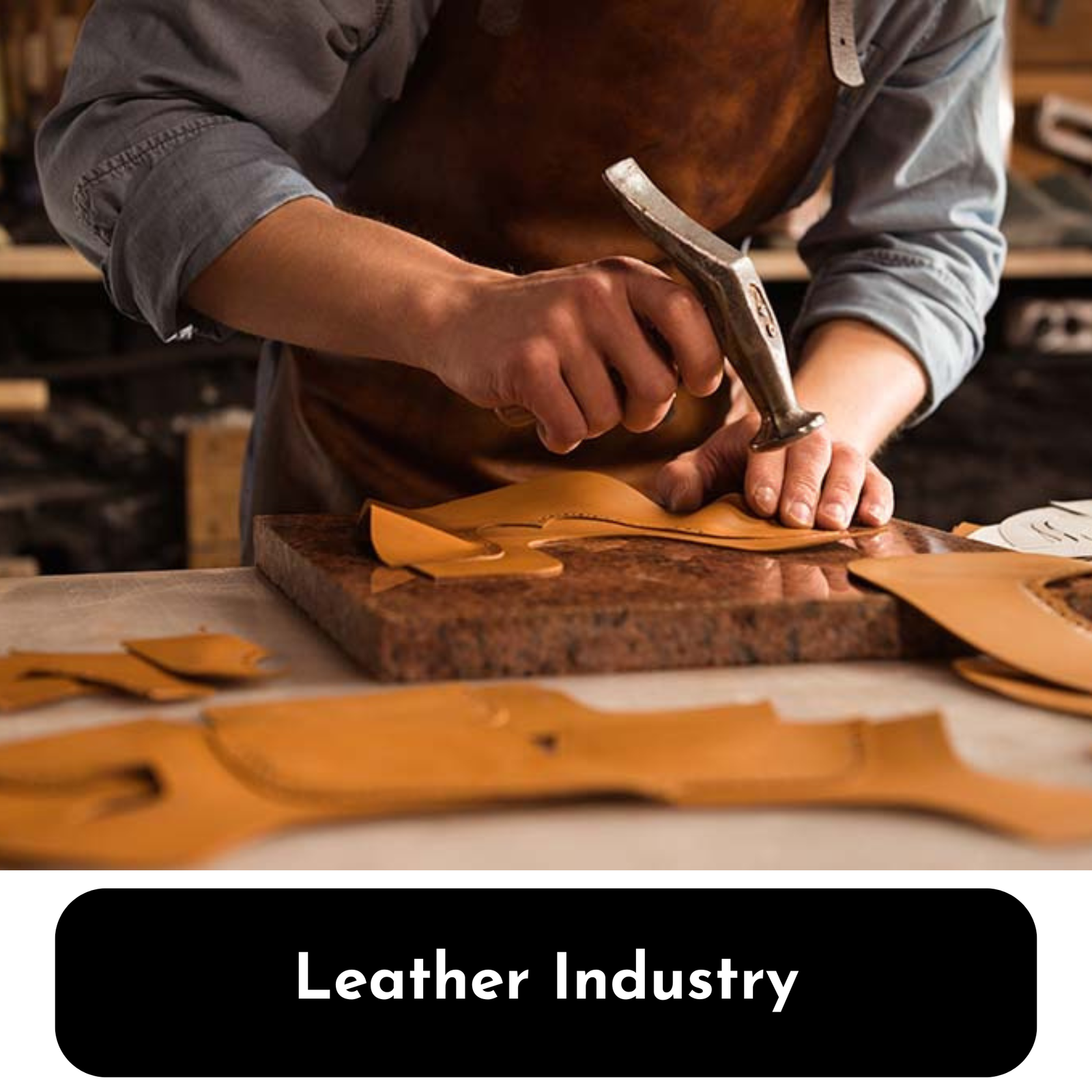 Furniture & Woodworking Industry (5)